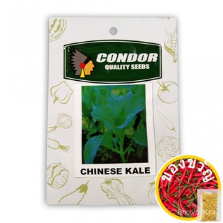 Condor Quality Seeds Chinese  5g by Plant Culture PH50 seeds (not live plants)edเมล็ดเชีย เมล็ดกุหลาบ เมล็ดดอกไม้ เมล็ดด