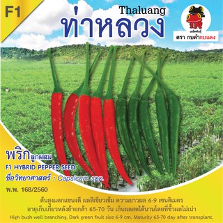 เมล็ดพันธุ์ พริกท่าหลวง บรรจุ 0.3 กรัม