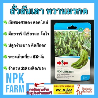 ผักซอง ศรแดง ถั่วลันเตา หวานมรกต ถั่วหวาน จำนวน 25 เมล็ด/ซอง เมล็ดพันธุ์ ลอตใหม่ ปลูกง่าย ฝักยาวสีเขียวสด ติดฝักดก