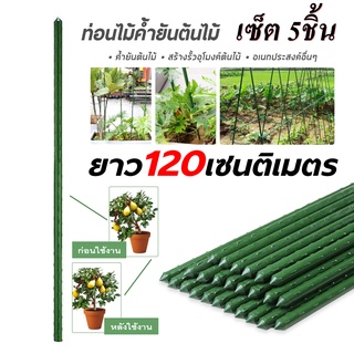 แพ็ค 5 ชิ้น ไม้ค้ำยันต้นไม้ ค้างต้นไม้ ค้างผัก ซุ้มไม้ Plants support stick ขนาด 120/150/180 เซนติเมตร ไม้หลัก ไม้ค้ำ