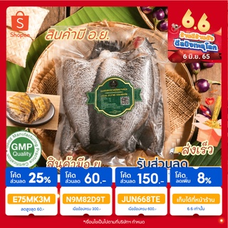 ปลาสลิดแดดเดียว 6-7 ตัวโลใส่กล่องและถุงเก็บความเย็นจัดส่ง (ประกันความเสียหายจากขนส่ง)
