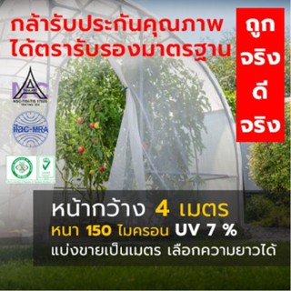 พลาสติกคลุมโรงเรือน หน้ากว้าง 4 เมตร หนา 150 ไมครอน ขายเป็นเมตร เลือกความยาวได้ตามที่ต้องการ ป้องกันรังสี UV