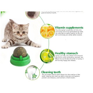 Catnip Ball ลูกบอลแคทนิปแมว Thai.th CatMint กัญชาแมว เพื่อสุขภาพแมว