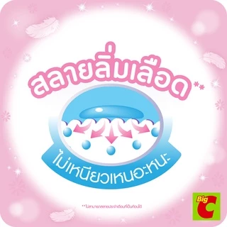โซฟี ถนอมผิว ผ้าอนามัยแบบมีปีก ขนาด 25 ซม. แพ็ค 14 ชิ้น