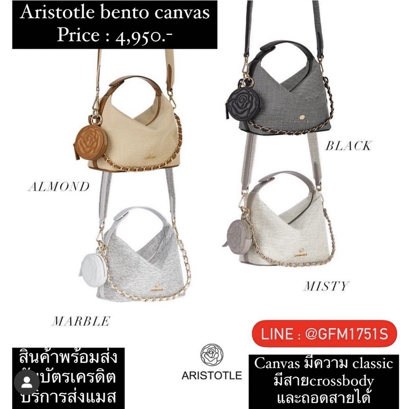 Aristotle bag - bento canvas