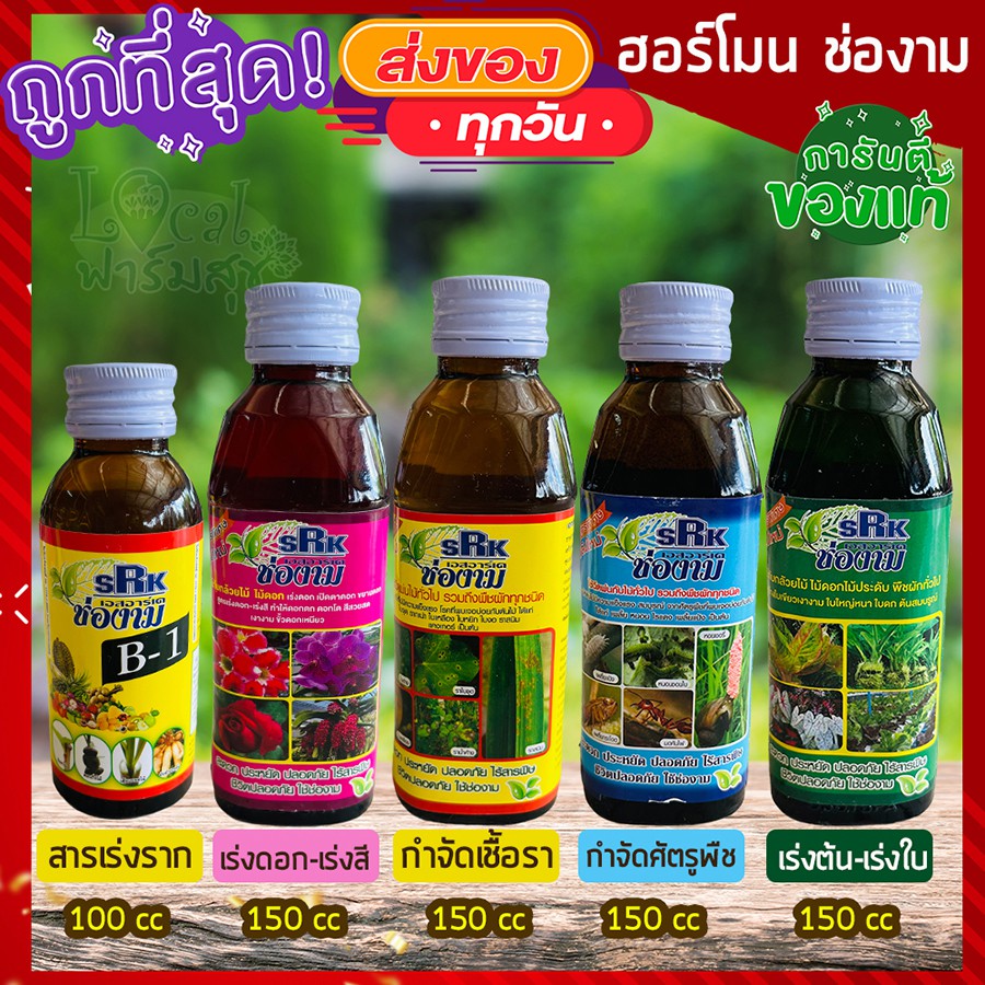 🔥ถูกทีสุด🔥(ช่องาม) ปุ๋ยน้ำชีวภาพ ปุ๋ยน้ำ ฮอร์โมน สารชีวภาพ สูตรเร่งราก เร่งใบ เร่งดอก กำจัดเชื้อรา กำจัดแมลง ส่งเร็ว
