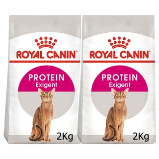 Royal Canin Protein Exigent [2kg] อาหารแมว รอยัลคานิน สูตรแมวกินยากเลือกกิน แมวไม่กินอาหาร 2กก.