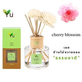 🌟🎁 ก้านไม้หอม 120 ml. กลิ่น Cherry Blossom (ดอกซากุระ) กลิ่นดอกซากุระ กลิ่นน่ารักๆ กลิ่นหอมหวานละมุน