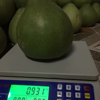 ส้มโอทับทิมสยาม น้ำหนัก 0.8-0.9 กกต่อลูก(ส้มตลาด)