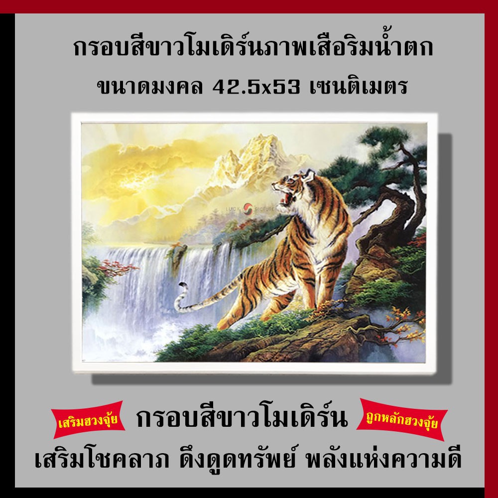 กรอบสีขาวโมเดิร์น ภาพเสือริมน้ำตก 42.5 x 53 cm. เสริมฮวงจุ้ย เสริมดวง กรอบรูปฮวงจุ้ย รูปภาพมงคล