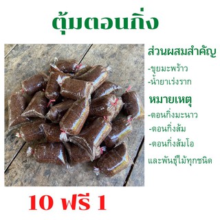 ตุ้มตอนกิ่ง ผสมน้ำยาเร่งราก 10 ฟรี 1