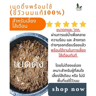 เบดดิ้งเลี้ยงไส้เดือน (จากขี้วัวนมแท้100%) พร้อมใช้ บรรจุถุงละ 1 Kg.เบดดิ้งพร้อมใช้เพื่อเลี้ยงไส้เดือน อาหารไส้เดือน