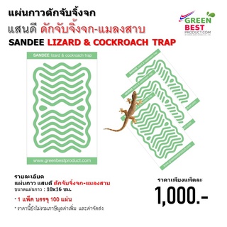 แผ่นกาวดักจับจิ้งจกแสนดี ดักจับจิ้งจก-แมลงสาบ  SANDEE LIZARD &amp; COCKROACH TRAP