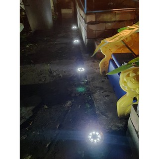 Solar light LED-ไฟปักทรงกลม 8 จุด - โคมไฟ LED พลังงานแสงอาทิตย์  solarlight   0001