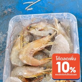 (พี้อมส่ง)กุ้งบ้วยทะเลสดจากประจวบ1k