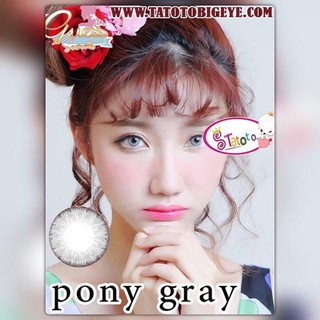 Pony  Gray  TATOTO Contact Lenses บิ๊กอาย #59