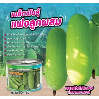 เมล็ดพันธุ์แฟงลูกผสมบรรลังก์เงิน#9 ขนาด 50 กรัม