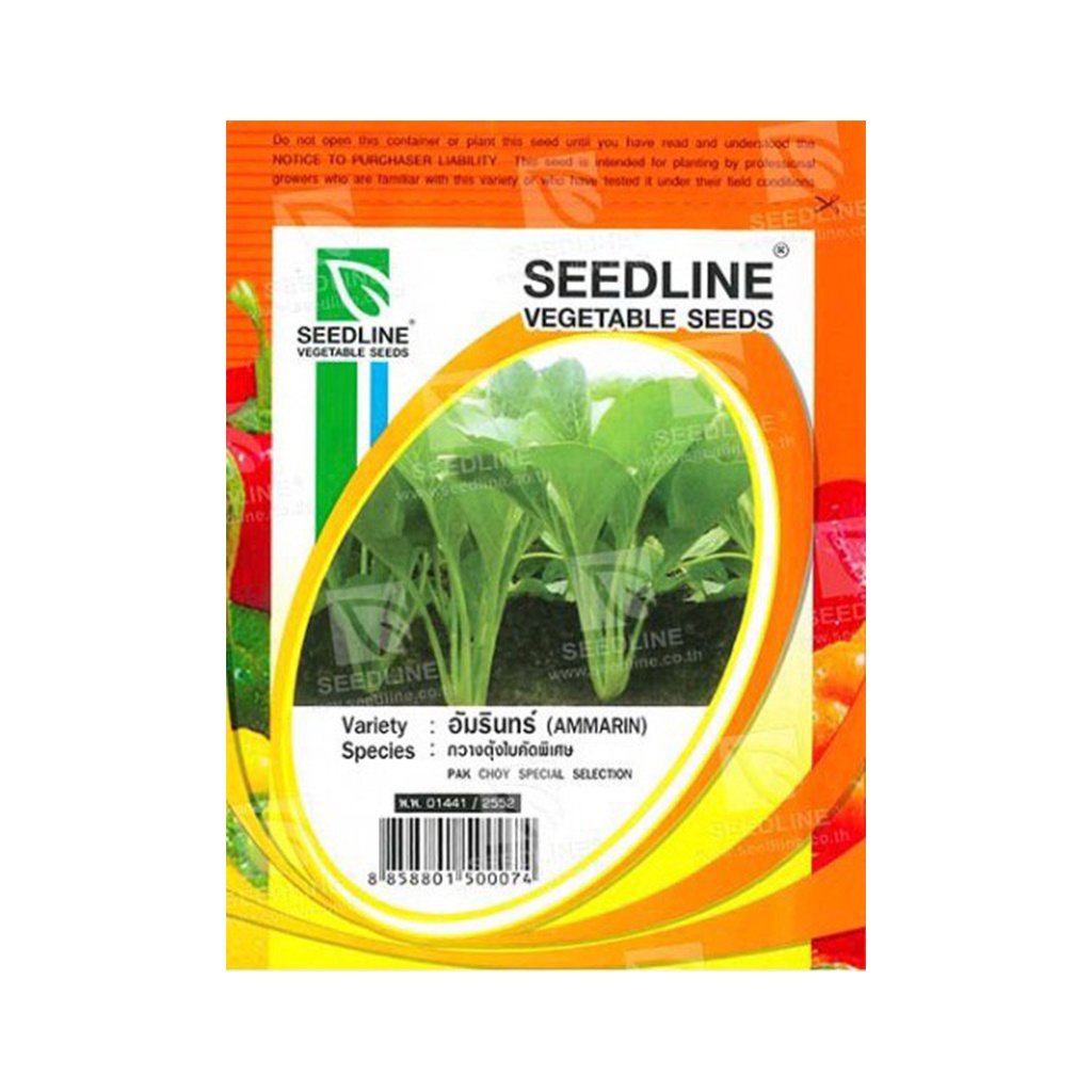 (พร้อมส่ง) SEEDLINE - เมล็ดกวางตุ้งใบคัดพิเศษ (อัมรินทร์)