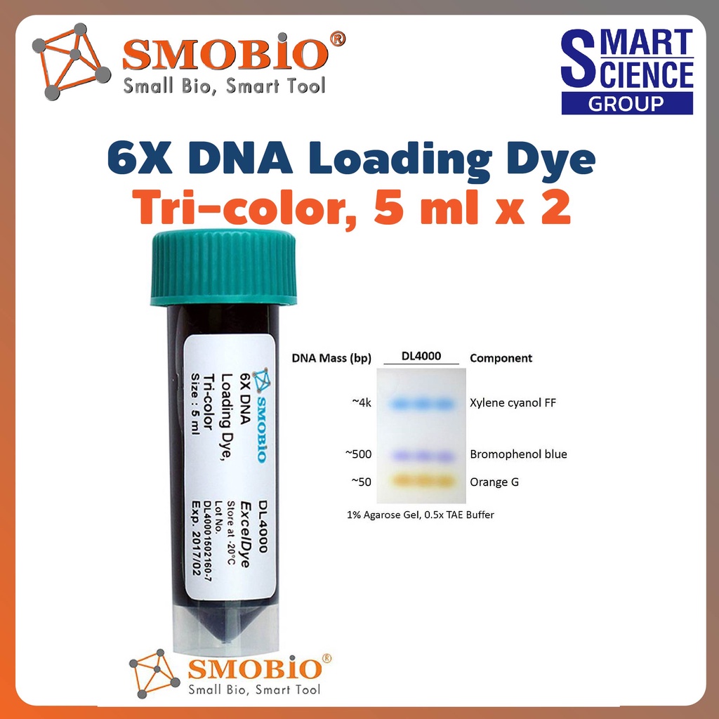 ExcelDye 6X DNA Loading Dye Tri color 4,000 bp, 500 bp and 50 bp electrophoresis on agarose or polya