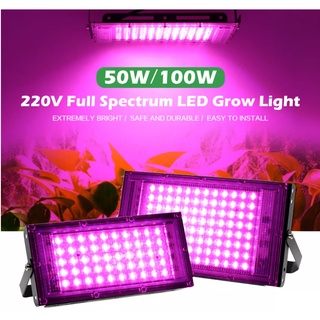 ไฟ LED ปลูกต้นไม้50W 100W,ไฟ LED เต็มสเปกตรัมโคมไฟปลูกพืชไฟปลูกต้นไม้สำหรับปลูกพืชผักผลไม้ดอกไม้ในร่มกรีนเฮ้าส์ปลูกพืชไฮ