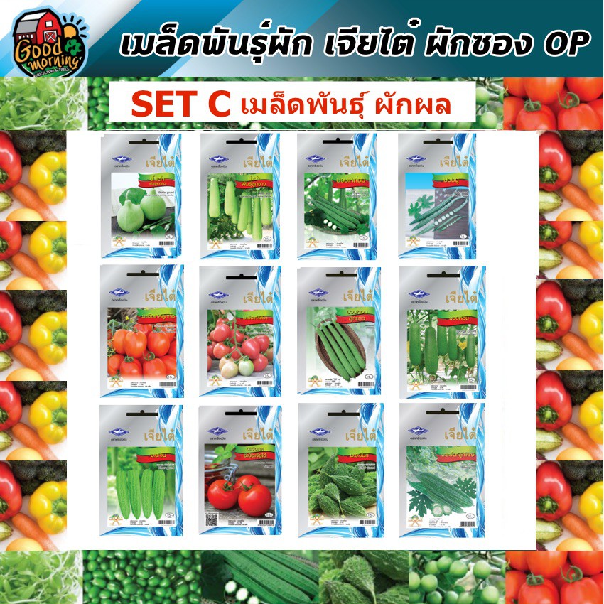 CHIATAI ผักซอง เจียไต๋ OP set C (13 ชนิด) ผักผล ตราเครื่องบิน ผักซอง เมล็ดพันธุ์ผัก เจียไต๋ ผักสวนครัว เมล็ดพันธุ์