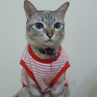 Profile NoName