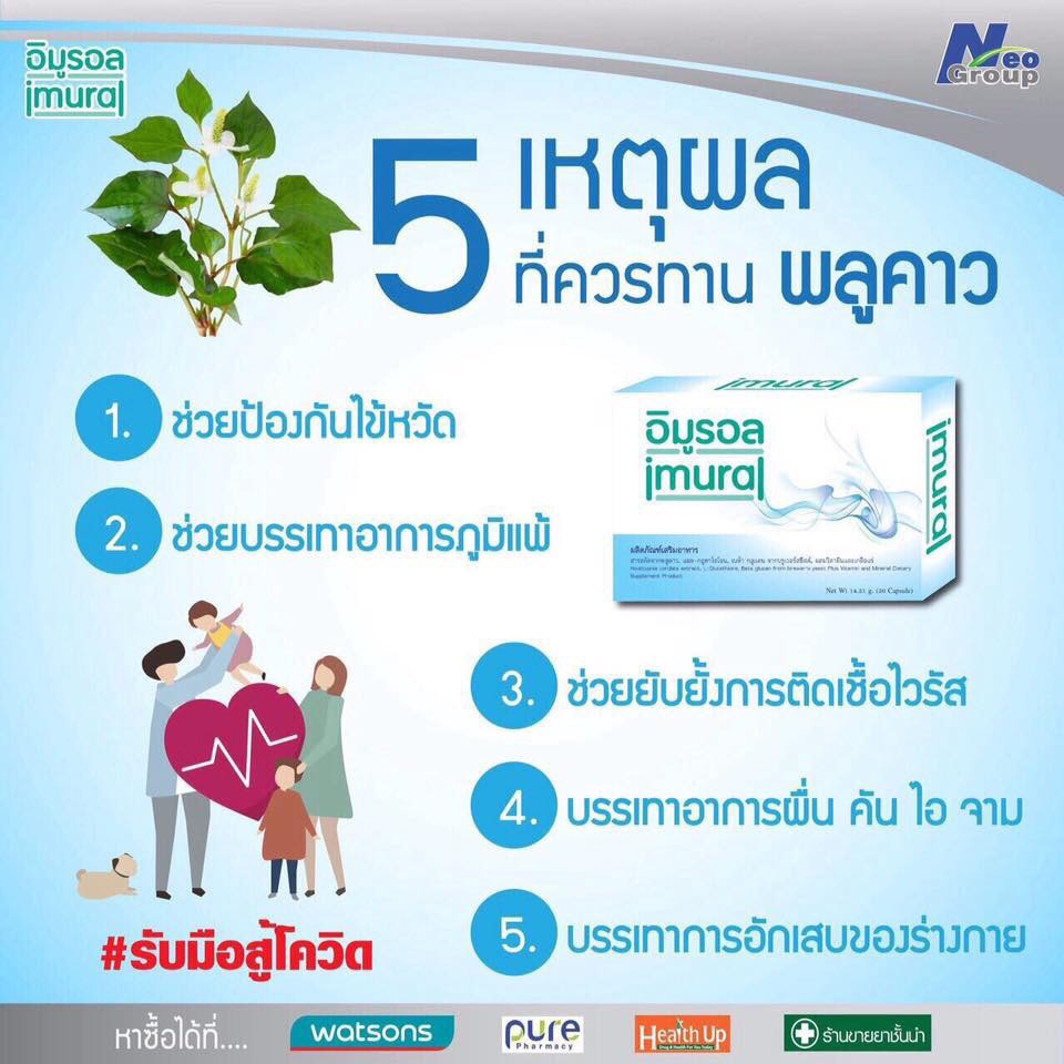 Imural อิมูรอล พลูคาว ช่วยเสริมสร้างภูมิคุ้มกัน เหมาะสำหรับผู้ที่ พักผ่อนน้อย เครียดจากการทำงาน เป็น