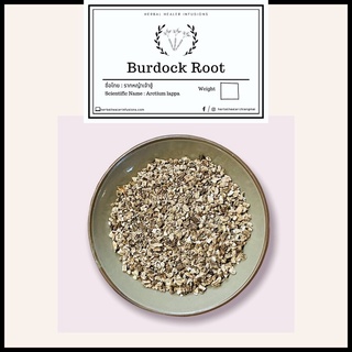 Organic Burdock Root Tea  รากโกโบ ออร์แกนิก (Arctium Lappa L) รากหญ้าเจ้าชู้อินทรีย์