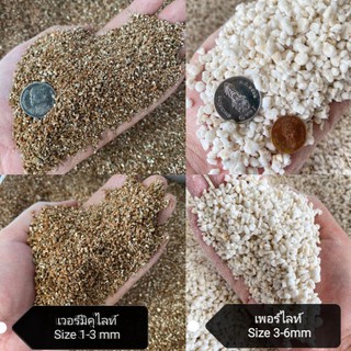 เพอร์ไลท์ perlite, เวอร์มิคูไลท์ vermiculite,ปลูกแคคตัส ผสมดินแคคตัส แบ่งขายราคาถูถ