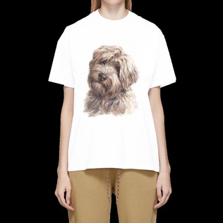 เสื้อลายหมา DTT005 tibetan terrier เสื้อยืด เสื้อยืดลายหมา เสื้อยืดสกรีนลายหมา