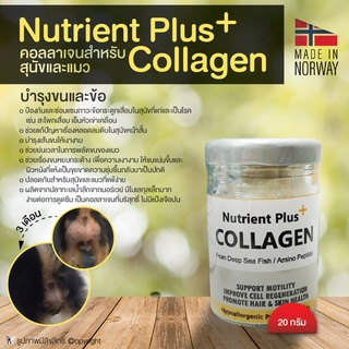 คอลลาเจนหมา คอลลาเจนแมว Nutrient Plus+ Collagen อาหารเสริม บำรุงขน ขนาด 20 กรัม โดย Yes Pet Shop