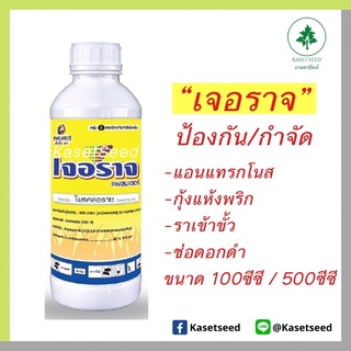 เจอราจ 100ซีซี / 500ซีซี โพรคลอราซ ป้องกันกำจัดแอนแทรกโนส ราดำ ราเข้าขั้ว ช่อดอกดำ แพลนเตอร์ เทพวัฒนา