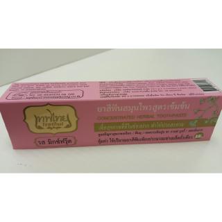 ยาสีฟันสมุนไพรสูตรเข้มข้น รสมิกซ์ฟรุ๊ต(70g)(เทพไทย)