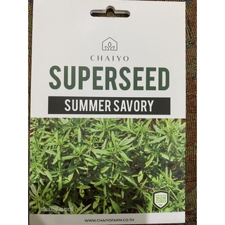 เมล็ดพันธุ์  ซัมเมอร์ เซเวอรี่ ( Summer Savory Seed ) บรรจุ 400 เมล็ด