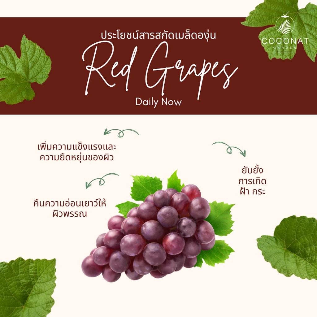 สบู่น้ำมันมะพร้าวสูตรองุ่นแดง ช่วยแก้ไขปัญหาฝ้า กระ จุดด่างดำ ไม่ใส่สารเคมี อ่อนโยน ไม่ทำให้ผิวแห้ง - รูปที่ 3