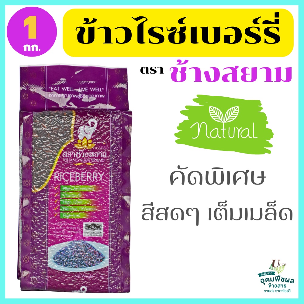 ข้าวไรซ์เบอรี่แท้100% คัดพิเศษ สุรินทร์ สีสดมีจมูกข้าว มีไฟเบอร์และวิตามินสูง ตรา ช้างสยาม 1 กก.