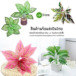 พร้อมส่งในไทย ถึงเร็วทันใจ ** ต้นไม้ประดิษฐ์ สวยงามเสมือนจริง สายพันธุ์ยอดนิยม รุ่น G33 (เฉพาะต้นไม้ไม่รวมกระถาง)