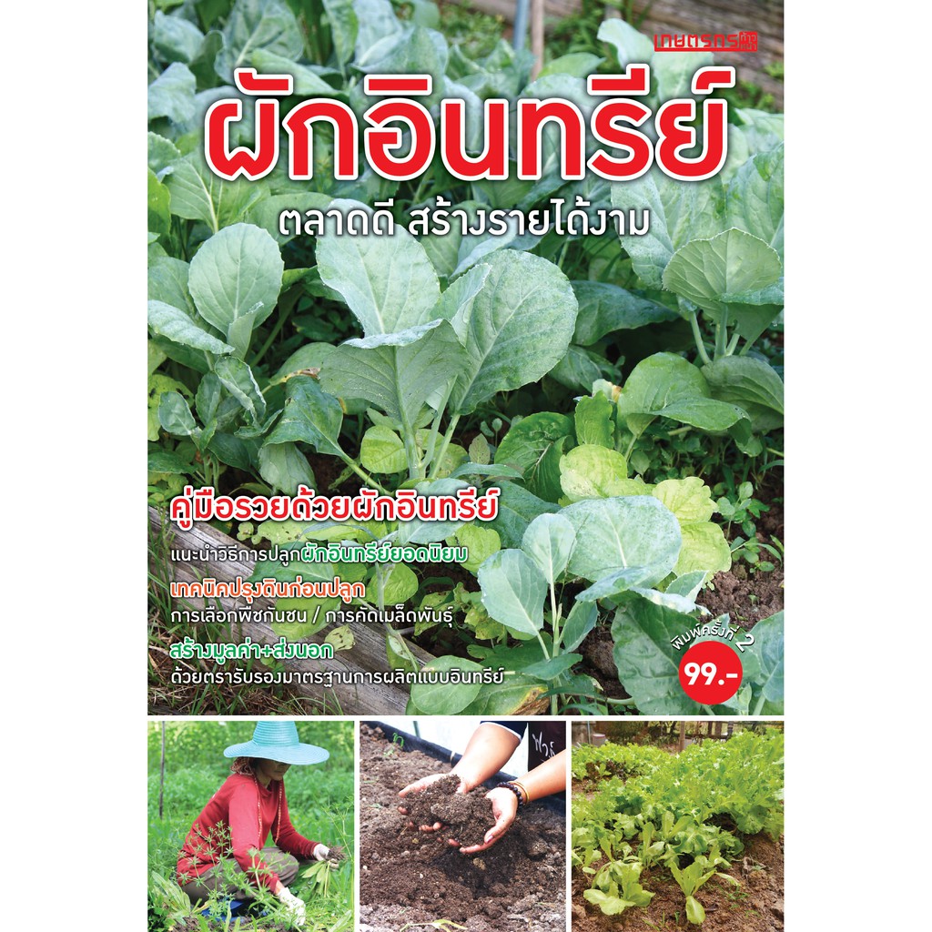 Maeban Publishing หนังสือผักอินทรีย์ ตลาดดี สร้างรายได้งาม