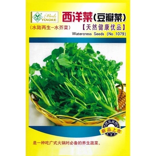 เมล็ดพันธุ์ วอเตอร์เครส แท้ ผักน้ำเบตง ( Watercress Seed ) บรรจุ 1000 เมล็ด ***ไม่ใช่ผักเป็ดญี่ปุ่น***