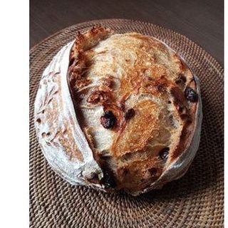 Sourdough -WalnutCranberry