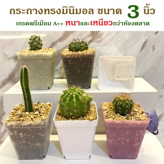 กระถาง กระถางต้นไม้ กระถางแคคตัส ตะบองเพชร กว้าง 7 ซม. ผลิตในไทย ไม่ใช่งานจีน