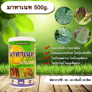 มาทาเนท 500g. แมนโคเซบ+ไทโอฟาเนทเมทิล สารจัดโรคพืช กำจัดเชื้อรา โรคราน้ำค้าง โรคราสนิม โรคแอนแทรคโนส โรคกุ้งแห้งพริก