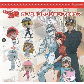 Hataraku Saibo/Cell At Work Capsule Collection Figure Gashapon กาชาปอง อนิเมะ Hataraku Saibou เซลล์ขยัน พันธุ์เดือด