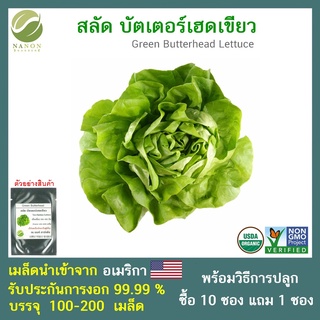 เมล็ดสลัด บัตเตอร์เฮด  จำนวน 100-200 เมล็ด