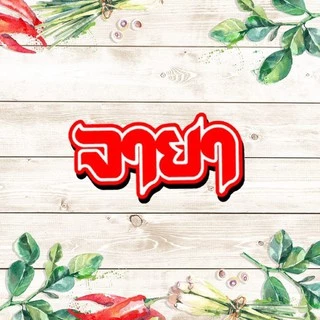 จายา บะหมี่กึ่งสำเร็จรูป รสเนื้อ กล่อง 30 ซอง (มีเครื่องหมายฮาลาล)