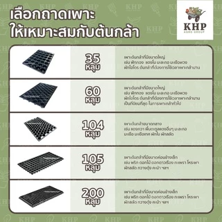 <4 ชิ้น> ถาดเพาะกล้า 104 หลุม ,35 ,60 ,105 ,200 หลุม ถาดเพาะชำ ถาดเพาะเมล็ด ถาดเพาะ มีขอบ แข็งแรง