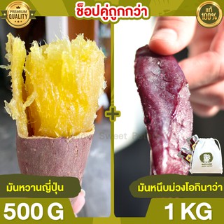 Duo Set ถูกกว่า มันหวานญี่ปุ่น 500g + มันหนึบม่วง 1kg มันหนึบ โอกินาว่า มันญี่ปุ่น มันหวานญี่ปุ่น มันญี่ปุ่นหวาน