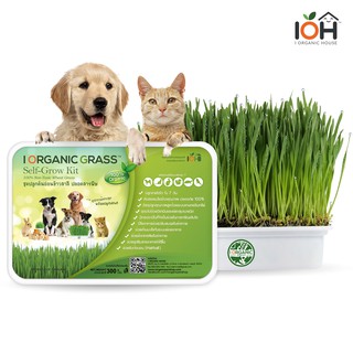 IOH i Organic Grass ชุดปลูกต้นอ่อนข้าวสาลี หญ้าแมว สำหรับสัตว์เลี้ยง (Premium Product) ครบชุดพร้อมปลูก ขนาด 350 กรัม