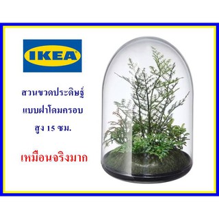 IKEAแท้ ต้นไม้ปลอมเหมือนจริงมาก ในฝาโดมครอบ สูง 15 cm. ใช้ตกแต่งบ้าน โต๊ะทำงาน ทับกระดาษ ให้ความรู้สึกสดชื่น สวนขวดแก้ว