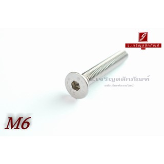 น็อตหัวจมเตเปอร์สแตนเลส M6x35